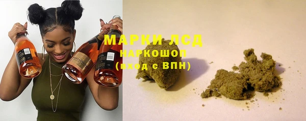 дмт Богданович