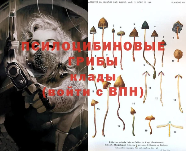 PSILOCYBIN Богородск