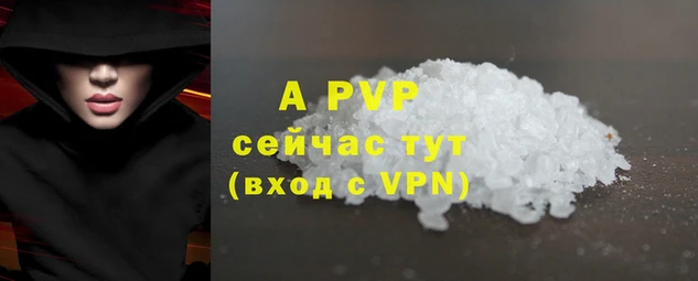 дмт Богданович