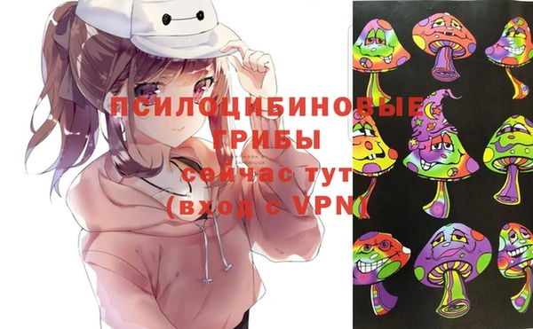 дмт Богданович