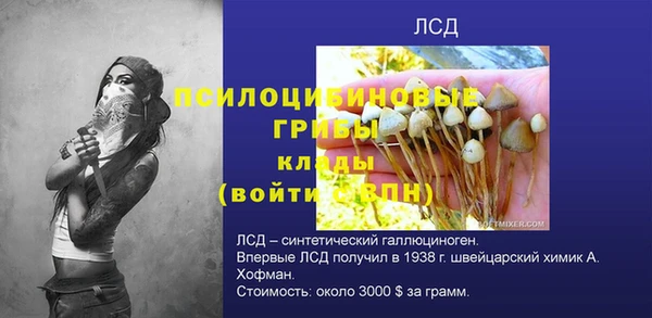 PSILOCYBIN Богородск