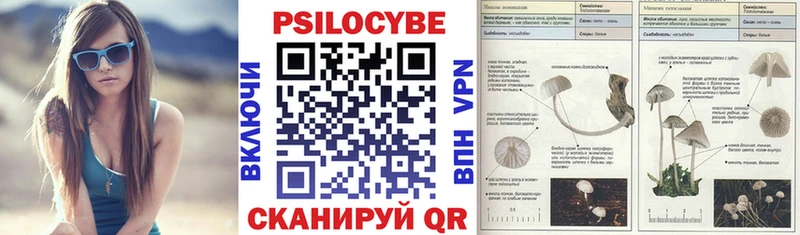 Псилоцибиновые грибы Cubensis  наркотики  Белорецк 